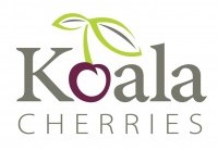 Koala Cherries Logo